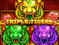 Triple Tigers