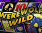 Werewolf Wild