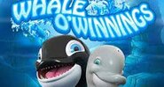 Whale O Winnings