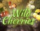 Wild Cherries