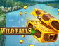 Wild Falls