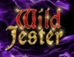 Wild Jester