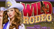 Wild Rodeo