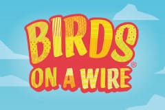 Онлайн слот Birds On A Wire