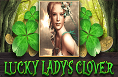 Lucky Ladys Clover