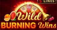 Wild Burning Wins 5 lines