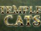 Temple Cats